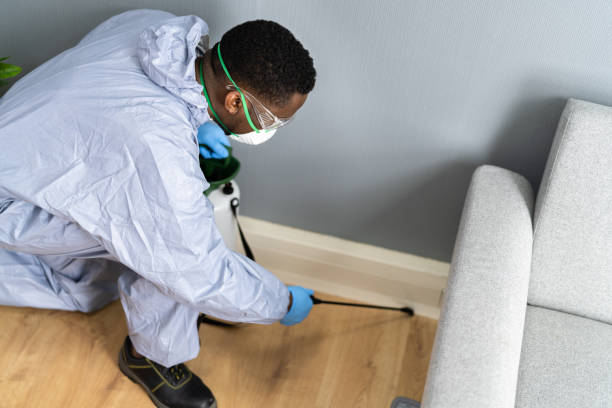 Best Fumigation Services  in Saranac, MI